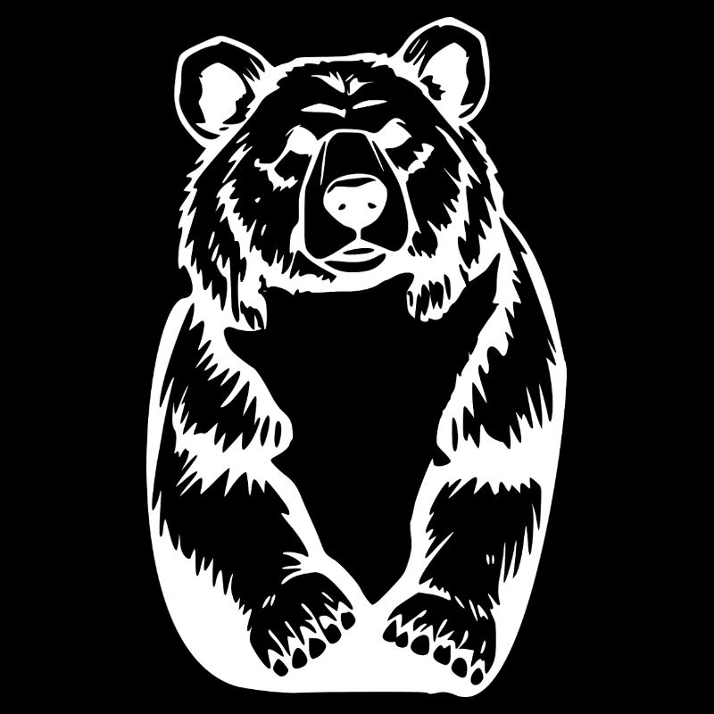 Bear Bears T-shirt Gift