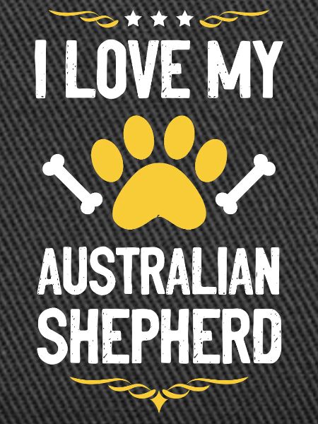 I love Aussie Shepherd
