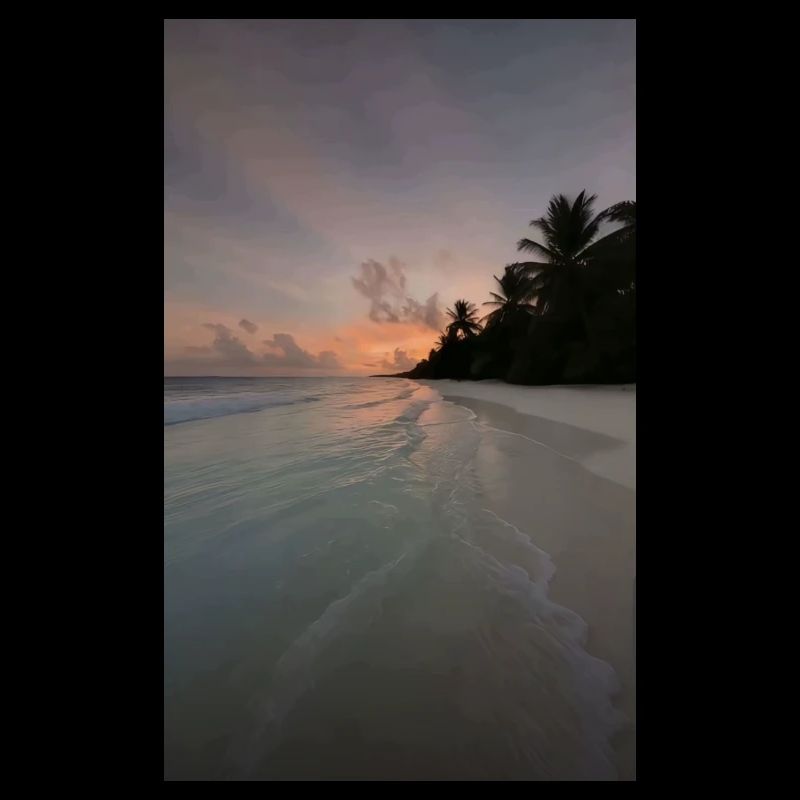 Coucher de soleil sur la plage de palmiers