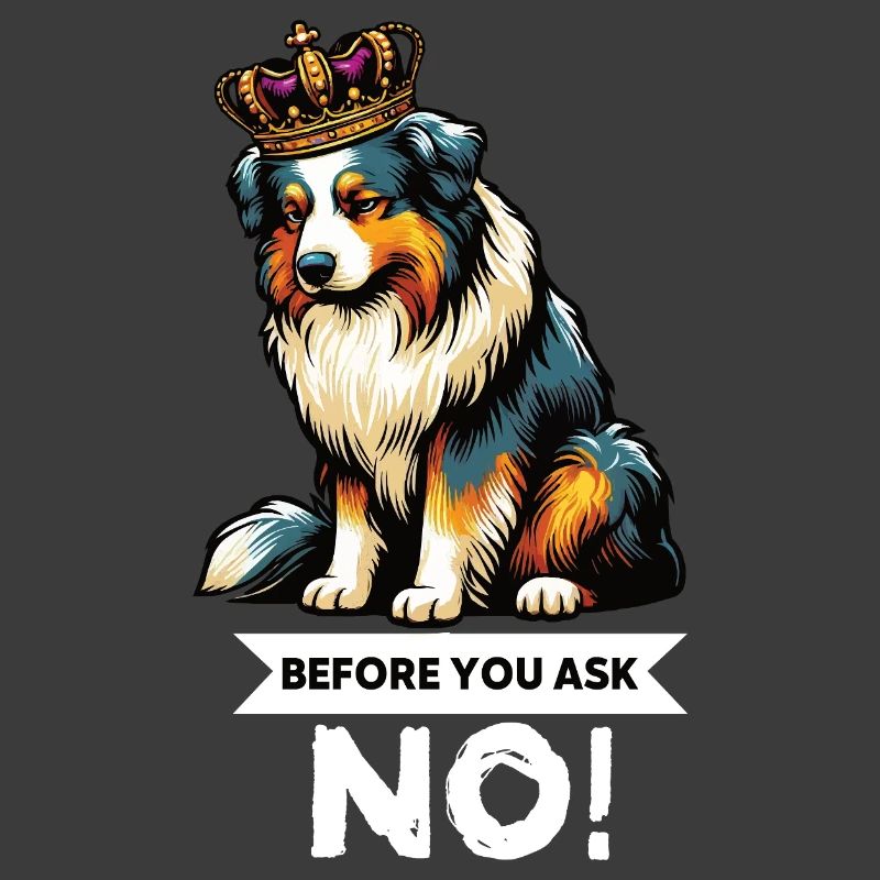 Before You Ask Australian Shepherd Aussie Aussies