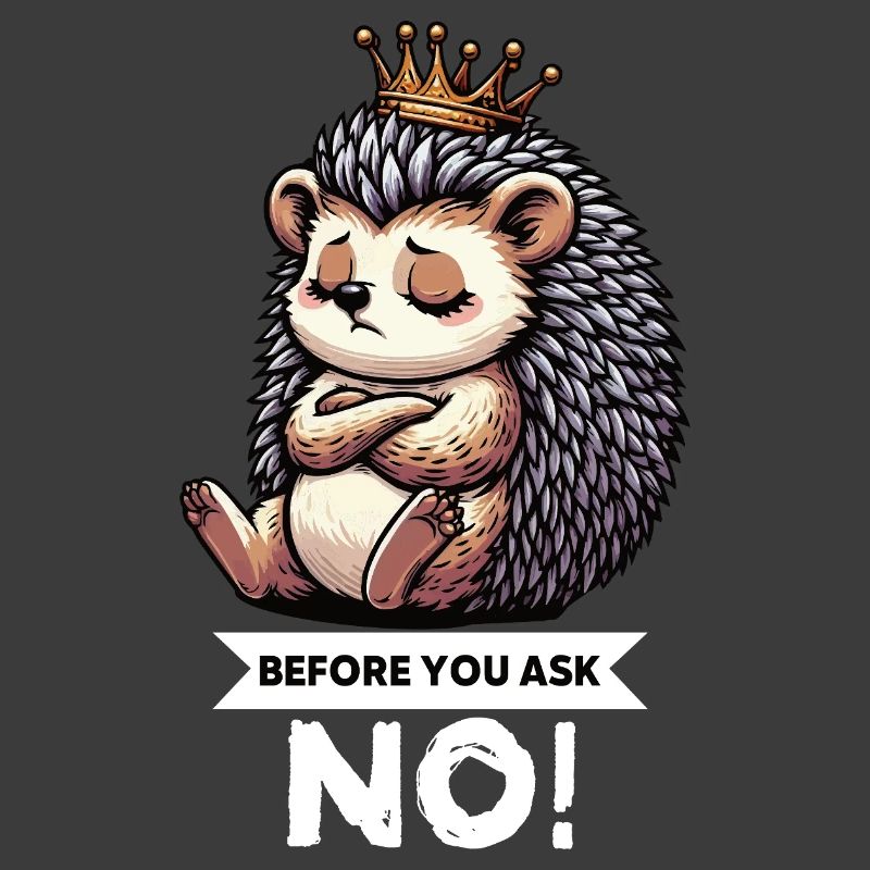 Before You Ask Hedgehog Hedgehog Lover Hedgehog Stinger