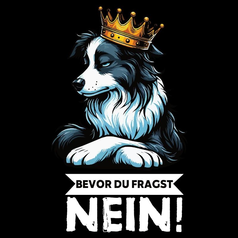 Before you ask: Border Collie, Herding Dog, Collie Dog
