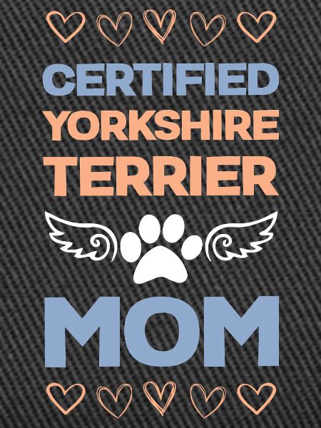 Certified Yorkie Mama