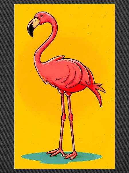 Flamingo