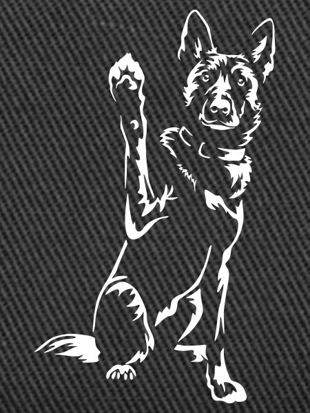Hollandse Herder "Black Edition"