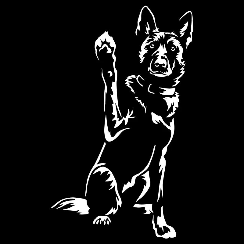 Hollandse Herder "Black Edition"