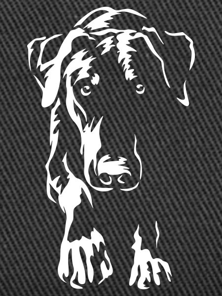 Doberman "Black Edition"