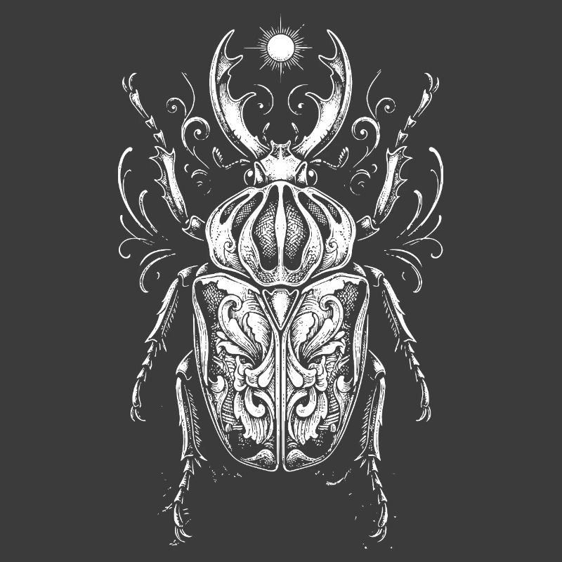 Conception anatomique des insectes