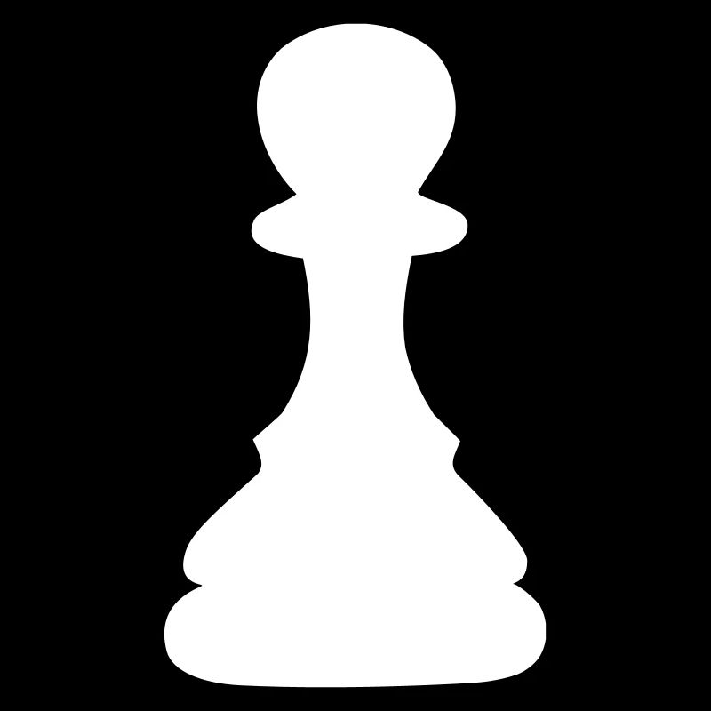 schach bauer