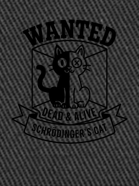 Schroedinger ́s Cat
