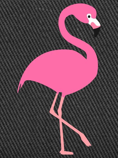 flamant