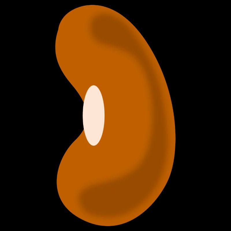 kidney beans beans veggie vegetables vegetables9