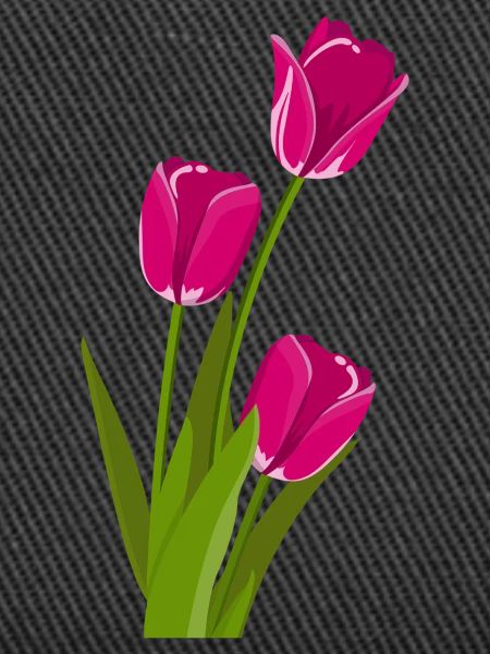 Tulpe Geschenk Geschenkidee
