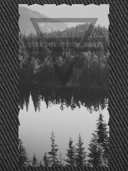 Wald