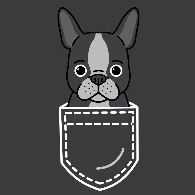 Chien Boston Terrier