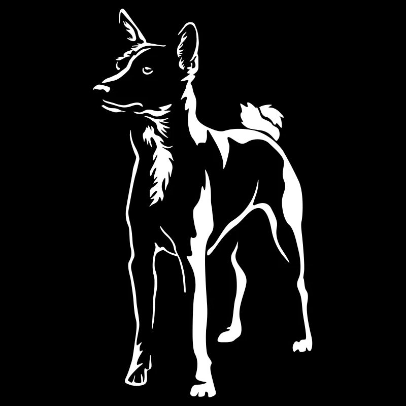 Basenji "Black Edition"