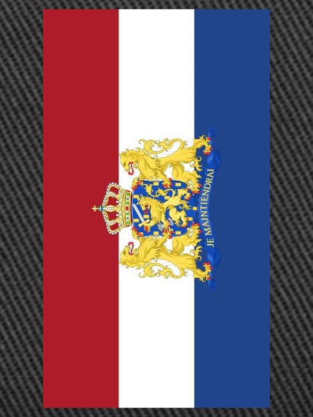 Netherlands flag phone case