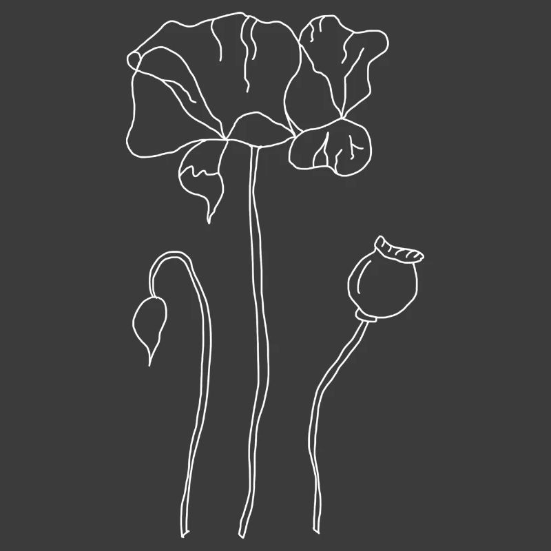 Mohnblume