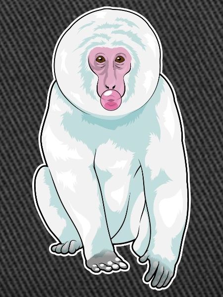 Monkey Chewing Gum