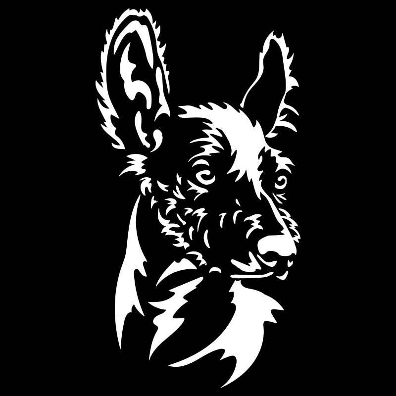 Peruanischer Nackthund Kopf "Black Edition"