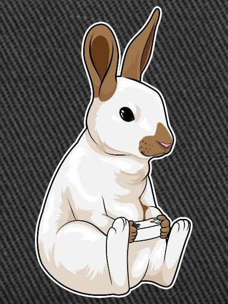 Hase Gamer Controller