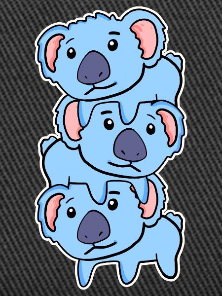 Koala Koalas