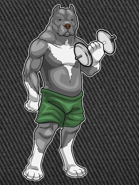 Pitbull Bodybuilder Hantel Bodybuilding