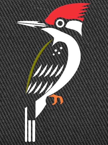 woodpecker