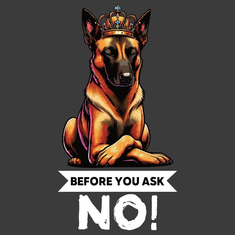 Before You Ask Malinois Belgian Shepherd Dog