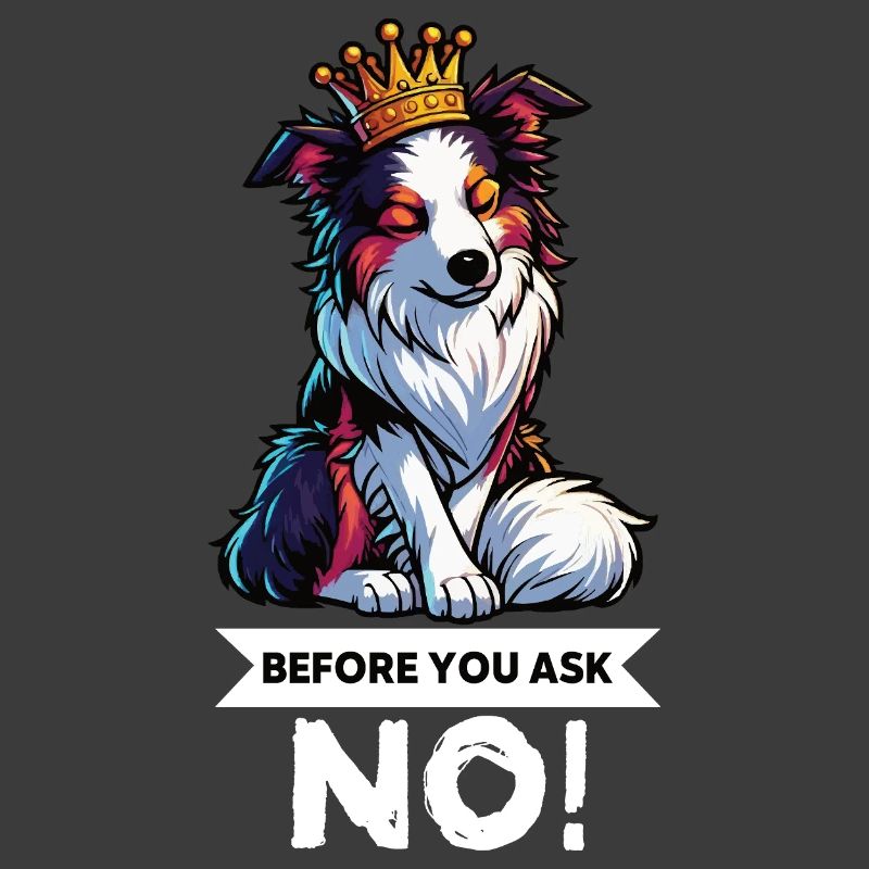 Before You Ask Australian Shepherd Aussie Aussies