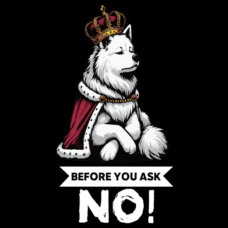 Before You Ask White Shepherd Shepherd