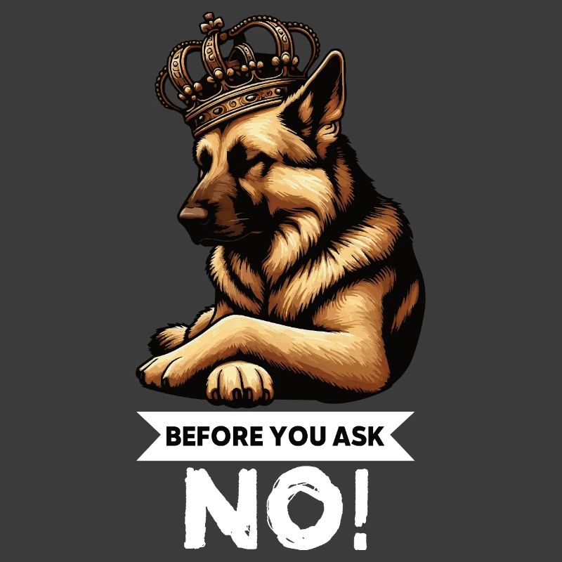 Before You Ask Deutscher Schäferhund Schäferhunde