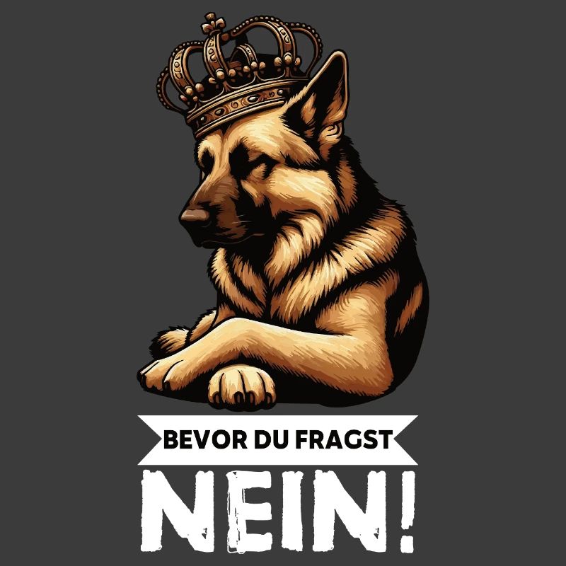 Bevor Du Fragst Deutscher Schäferhund Schäferhunde