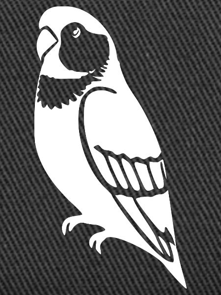 Parrots Bird Geshenk