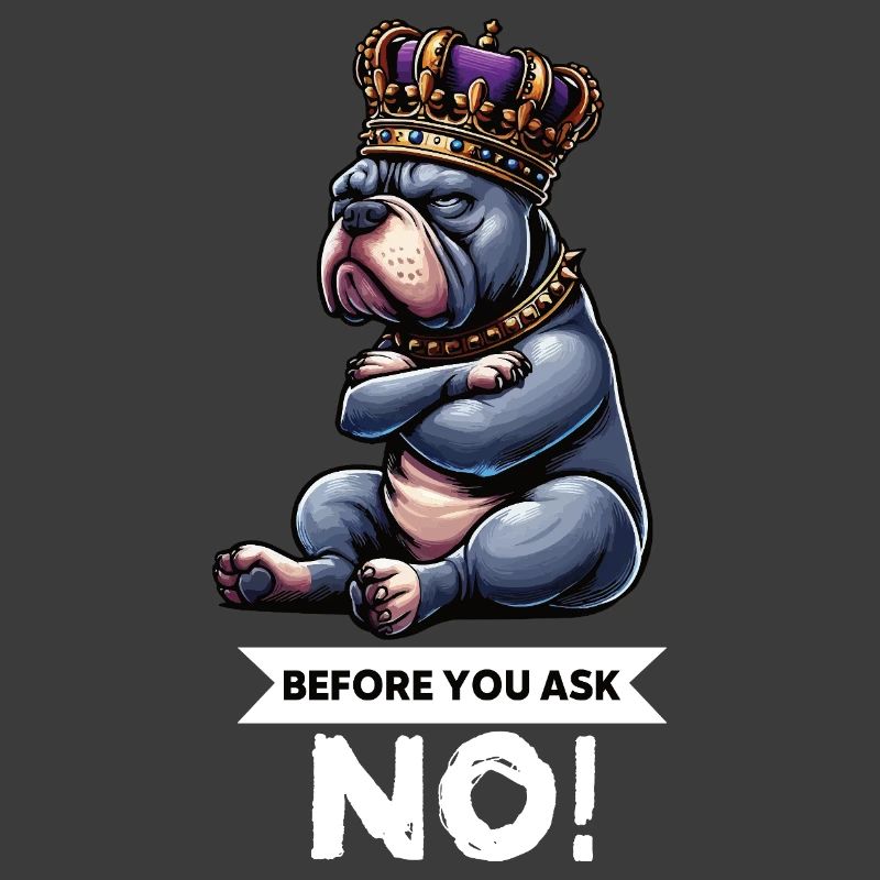 Before You Ask American Bully Bully Pit Bullys