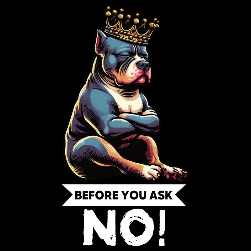 Before You Ask American Bully Bully Pit Bullys