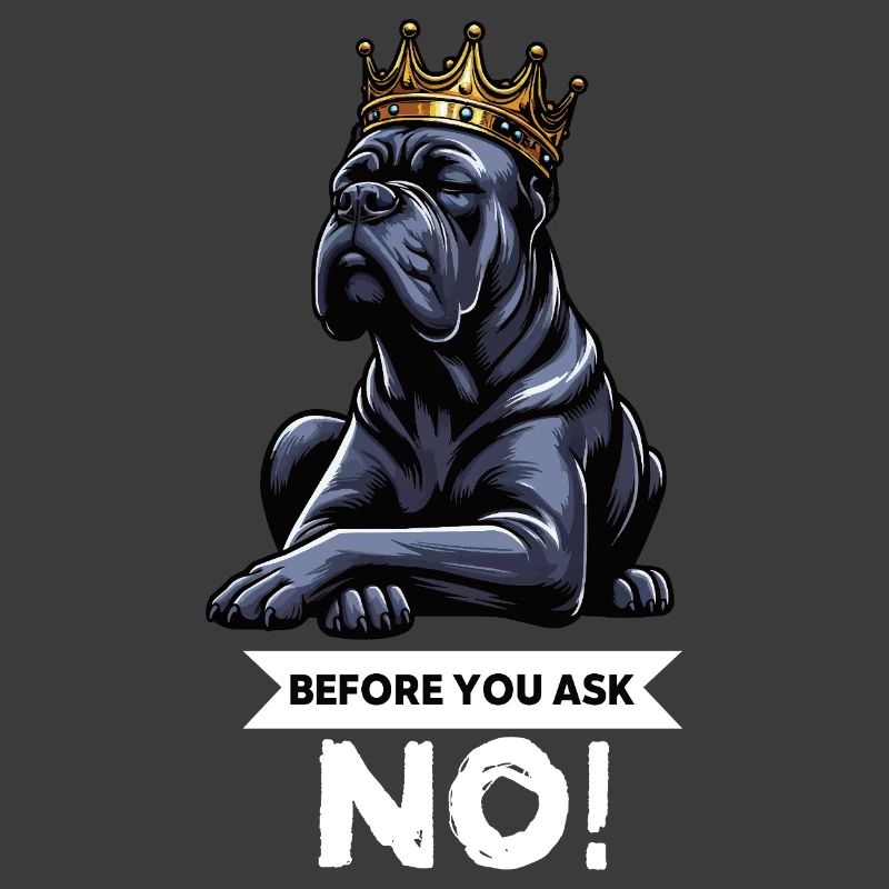 Before You Ask Cane Corso Cane Corsos Corso halter