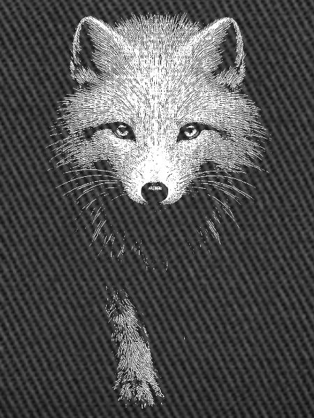 Arctic fox