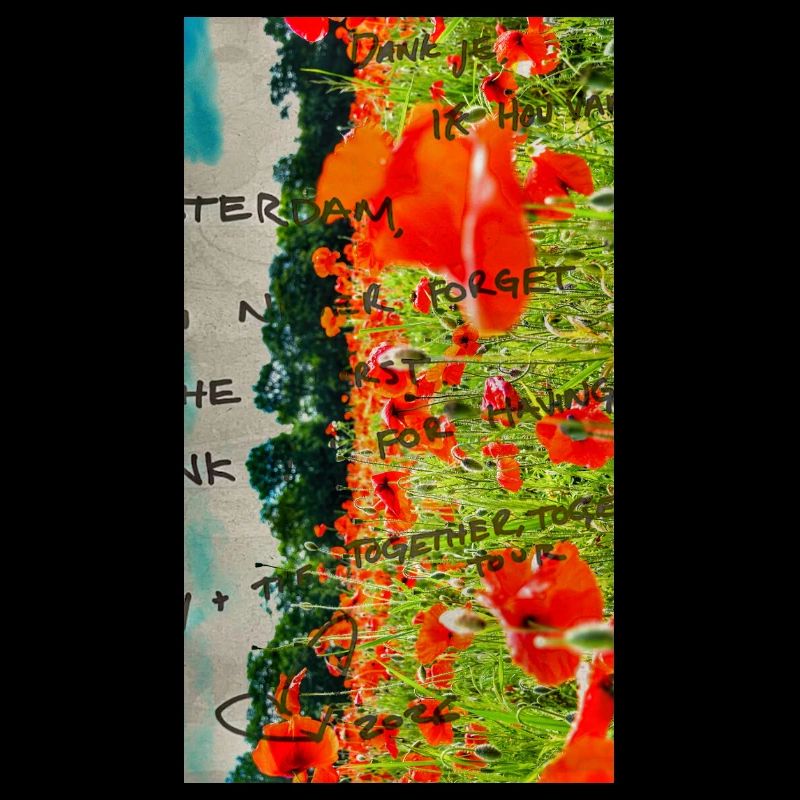 Coquelicots dans le champ avec texte manuscrit