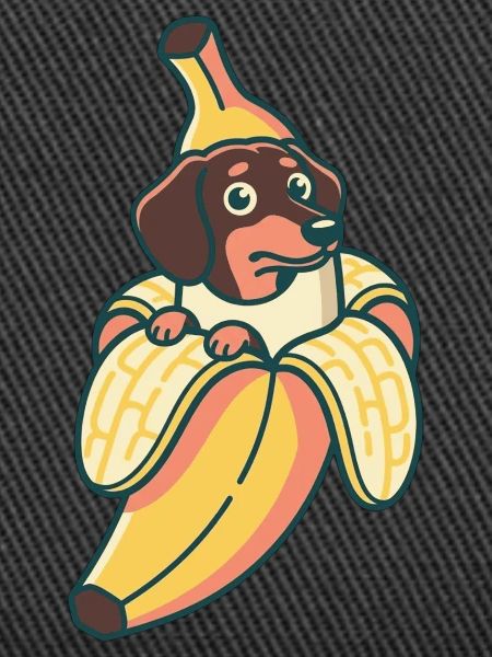 Dackel Banane