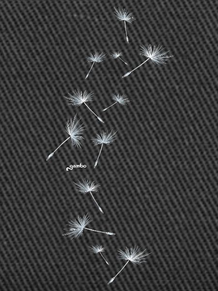 Pusteblume Design 5