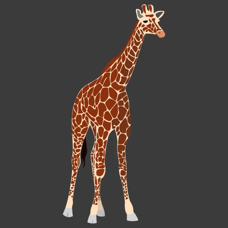 giraffe