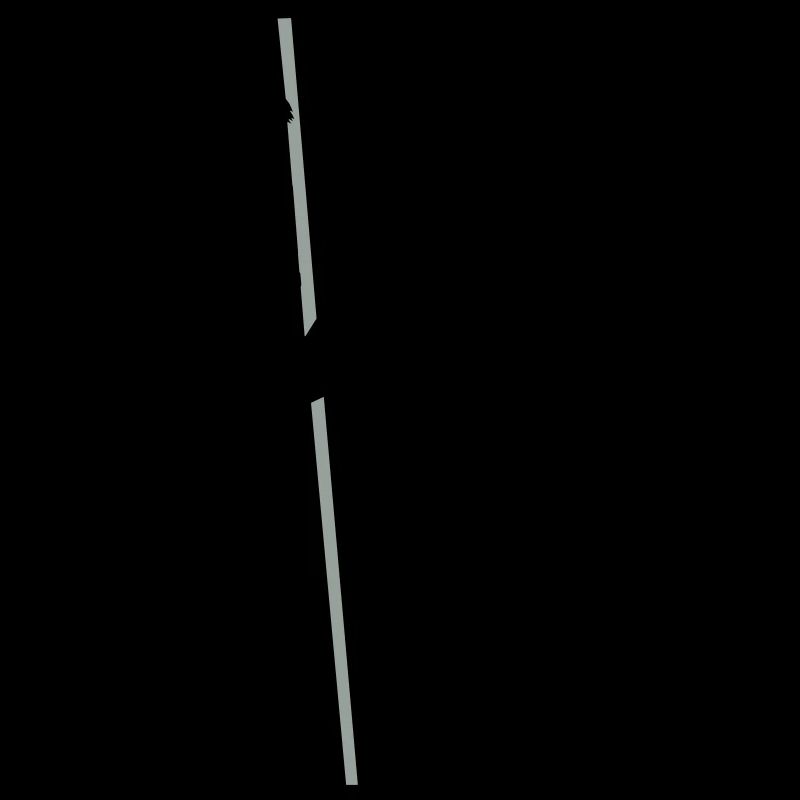 Pole Dance Nixe