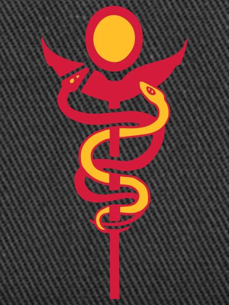 caduceus physio