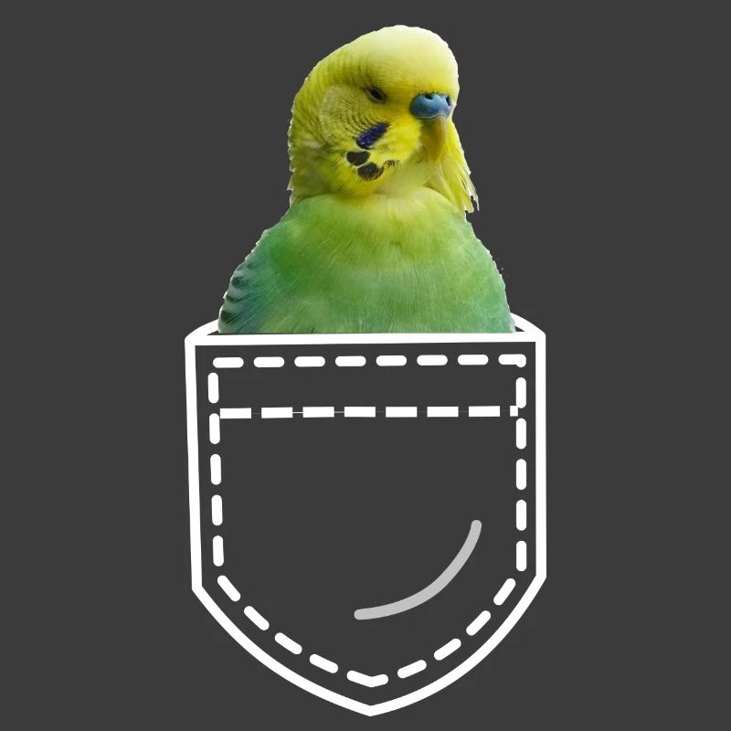 Vogel Wellensittich