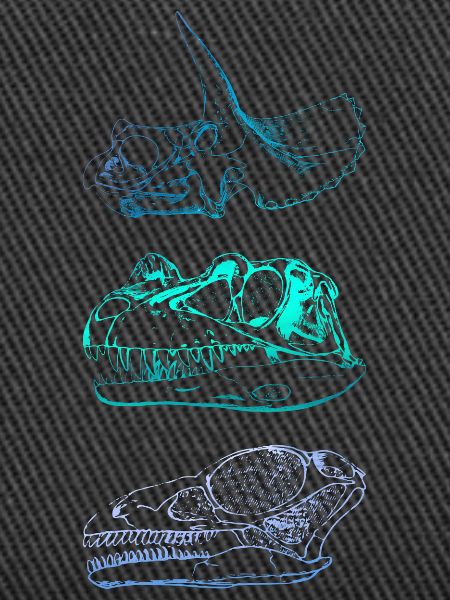 Dinosaur Skulls