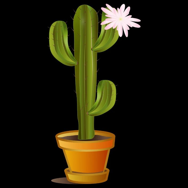 enchanting cactus in a flowerpot with flower