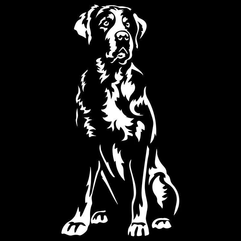 Großer Schweizer Sennenhund "Black Edition"