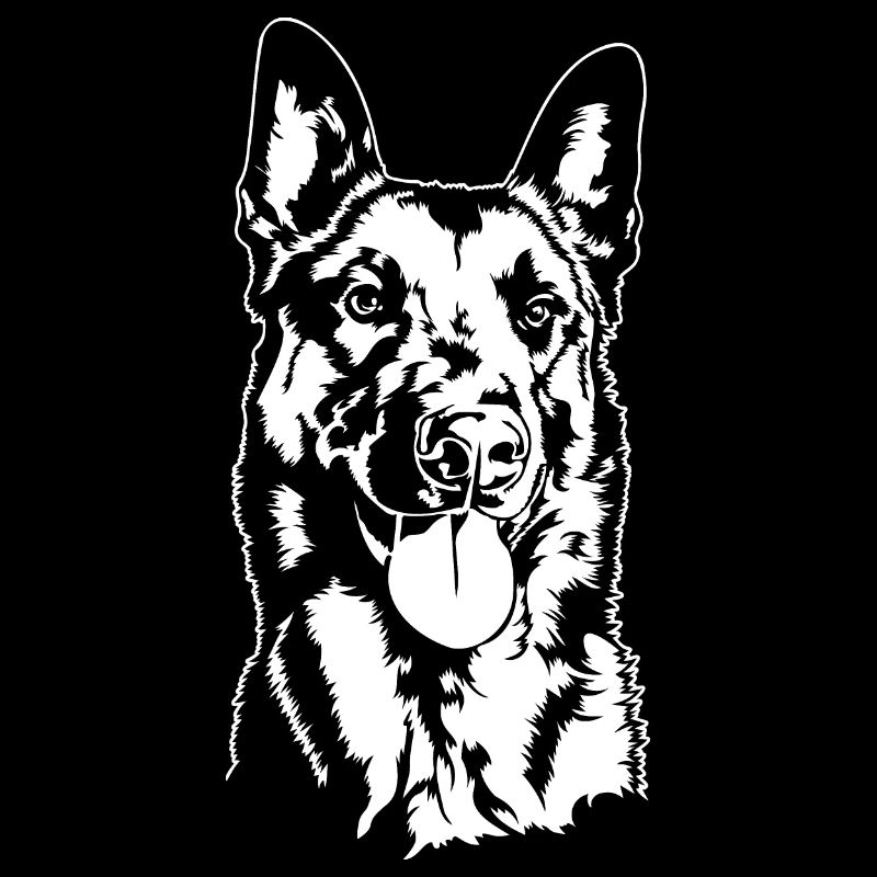 Belgian Malinois Portrait Hund Hunde Wilsigns