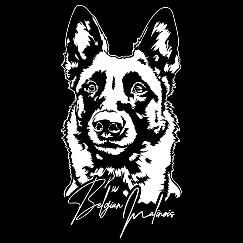 Belgian Malinois Portrait Hund Hunde Wilsigns